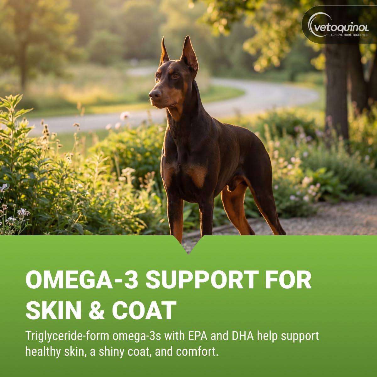 Vetoquinol Triglyceride Omega - Aceite de Pescado para Perros y Gatos - Apoya la Piel, el Pelaje y la Respuesta Inmunitaria - Suplemento con Mezcla de Vitaminas para el Corazón, Ojos, Huesos y Músculos - 60 Cápsulas