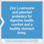 Life Extension Gastro-Ease – Zinc L-Carnosine and Probiotics for Digestive Comfort, 60 Capsules
