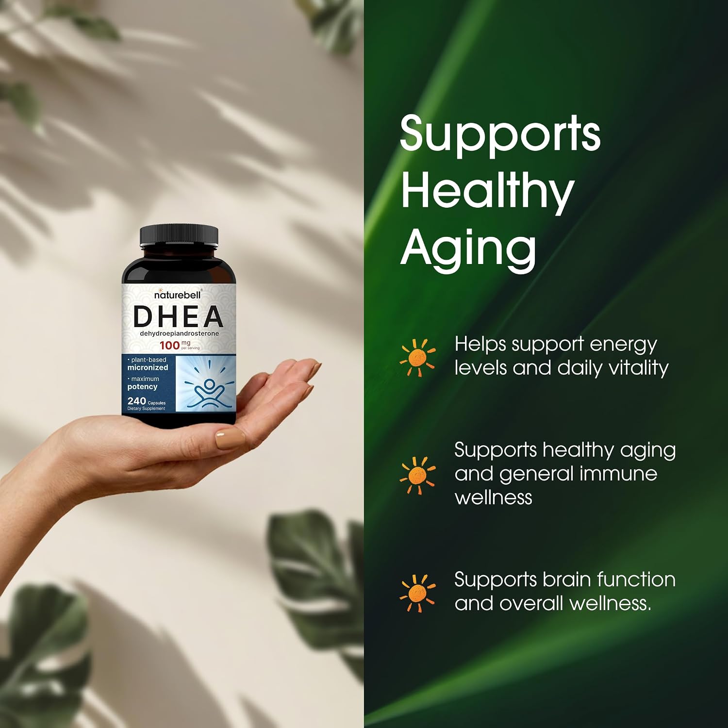 NatureBell DHEA 100mg - 240 Cápsulas