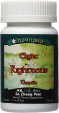8 Righteous Teapills (Ba Zheng Wan), 200 Counts by Plum Flower