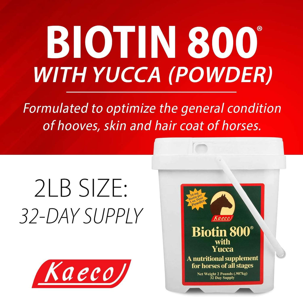Biotina 800 en Polvo