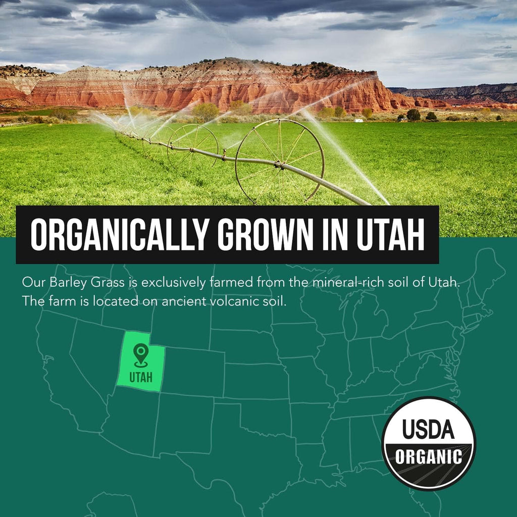 Organic Barley Grass Juice Powder - Cultivado en Suelo Volcánico de Utah - Forma Cruda y Bioactiva, Prensado en Frío y Secado con CO₂ – Sin Gluten, Sin OGM, Vegano - Complementa el Polvo de Jugo de Wheatgrass - 150 g