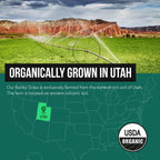 Organic Barley Grass Juice Powder - Cultivado en Suelo Volcánico de Utah - Forma Cruda y Bioactiva, Prensado en Frío y Secado con CO₂ – Sin Gluten, Sin OGM, Vegano - Complementa el Polvo de Jugo de Wheatgrass - 150 g