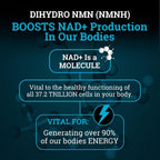NMNH Supplement 250mg - DiHidro-Nicotinamida Mononucleótido Puro con Bioperine® (Alternativa NMN para Aumentar NAD+)