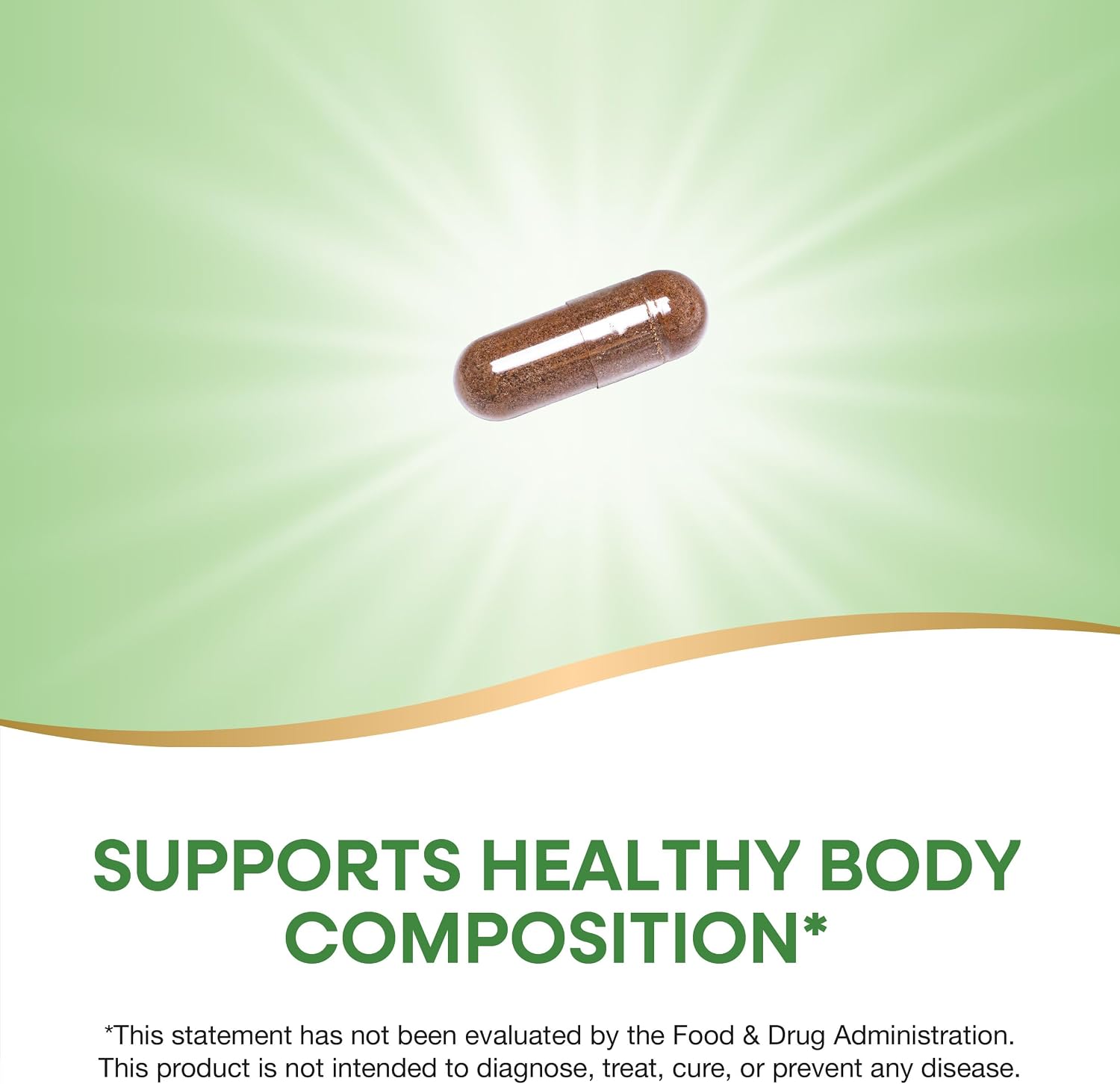 Nature's Way Forskohlii – Extracto Estandarizado con ForsLean 125 mg, 60 Cápsulas Veganas