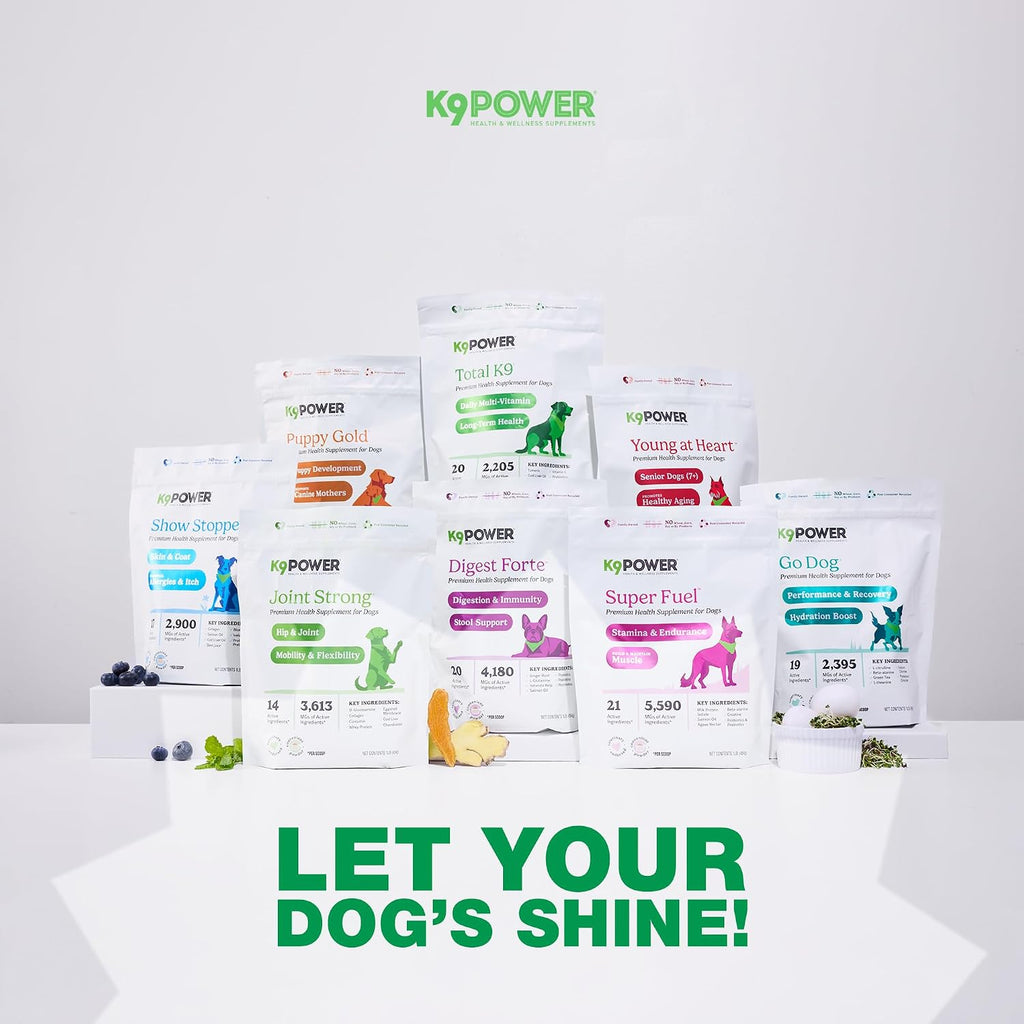 K9Power Total K9 – Polvo Multivitamínico 11 en 1 para Perros
