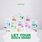 K9Power Total K9 – Polvo Multivitamínico 11 en 1 para Perros