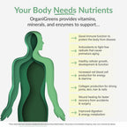 Organixx Greens Superfood Powder con Probióticos y Enzimas Digestivas - 283 g