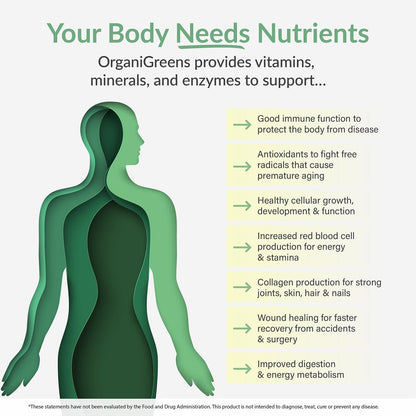 Organixx Greens Superfood Powder con – Apoyo al sistema inmunitario: La mezcla de superalimentos y antioxidantes – Image 6
