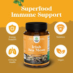 Cápsulas de Irish Sea Moss de Natures Craft - Complejo de Superalimento con Bladderwrack, Bardana y BioPerine - 90 Cápsulas