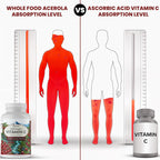 OPTIVIDA Acerola Cherry Cápsulas 60 Días – Vitamina C Vegetal