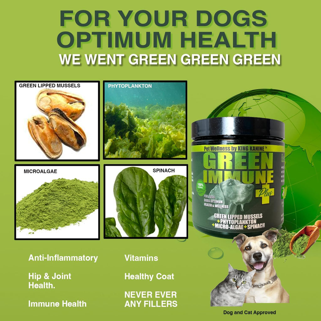 King Kanine Green Inmune Plus Multivitamínico y Mineral Orgánico para Perros, 170 g