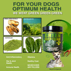 King Kanine Green Inmune Plus Multivitamínico y Mineral Orgánico para Perros, 170 g