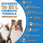 ZEBORA Probióticos para Perros, Polvo con Calabaza, Prebióticos y Enzimas Digestivas, 6 Mil Millones de UFC, Sabor a Pollo, 90 Dosis