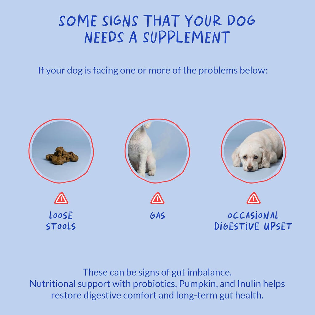 Coco and Luna Probióticos para Perros – 90 Masticables Suaves