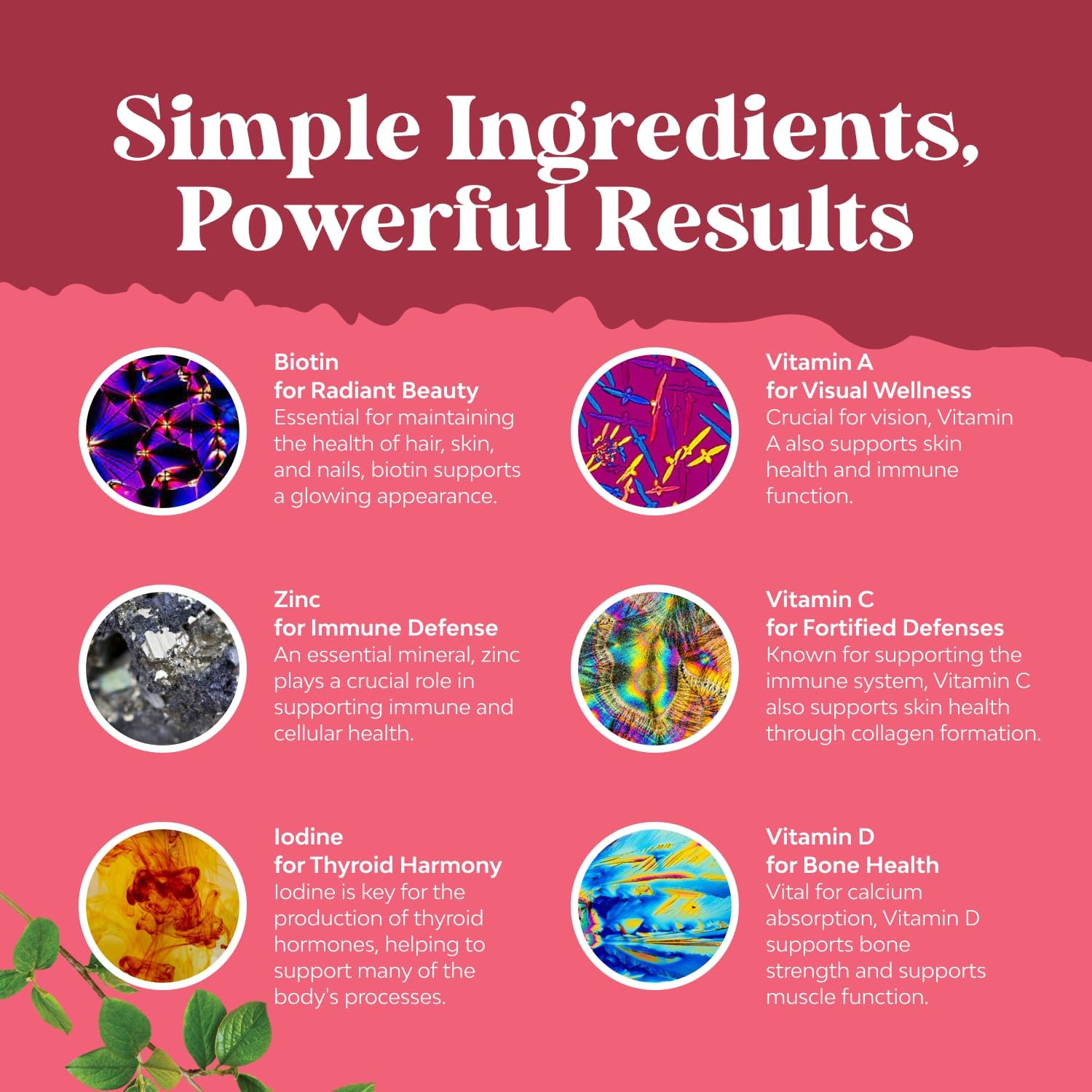 Delicious Daily Multivitamin for Women Gummies - Gominolas Multivitamínicas para Mujeres