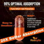 Rossylla NAD+ Liposomal 1300 mg – 60 Cápsulas