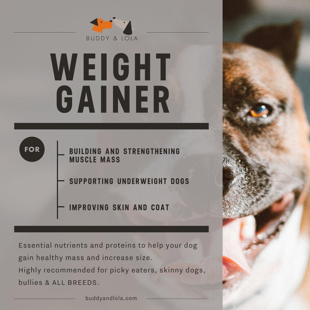 Buddy & Lola Dog Weight Gainer - Complemento para ganar peso en perros