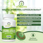 Ulmubra Luteolina Liposomal 500 mg, Máxima Absorción, 60 Cápsulas Blandas