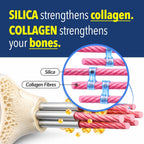 LABO Bioactive Silica - Pack de 3 - 90 Cápsulas Veganas - Sílice de Arroz 99% Pureza para Huesos y Articulaciones