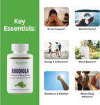 Paradise Herbs Rhodiola Extract 500mg, 60 Cápsulas Vegetales