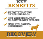 WINPRO Recovery Soft Chews para Perros, 60 masticables con plasma