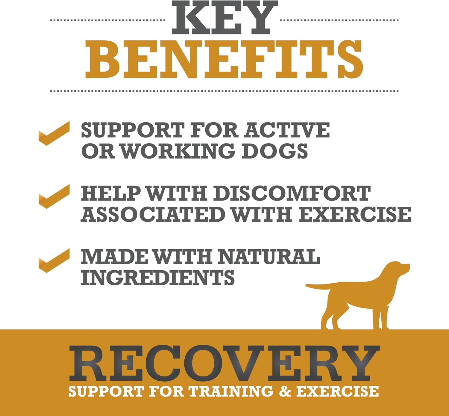 WINPRO Recovery Soft Chews para Perros, 60 masticables con plasma