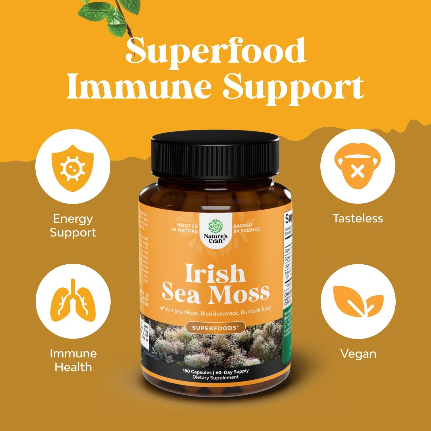 Natures Craft Cápsulas de Musgo Marino Irlandés - 2100mg por Dosis - Complejo de Superalimentos con Bladderwrack, Bardana y BioPerina - 180 Cápsulas