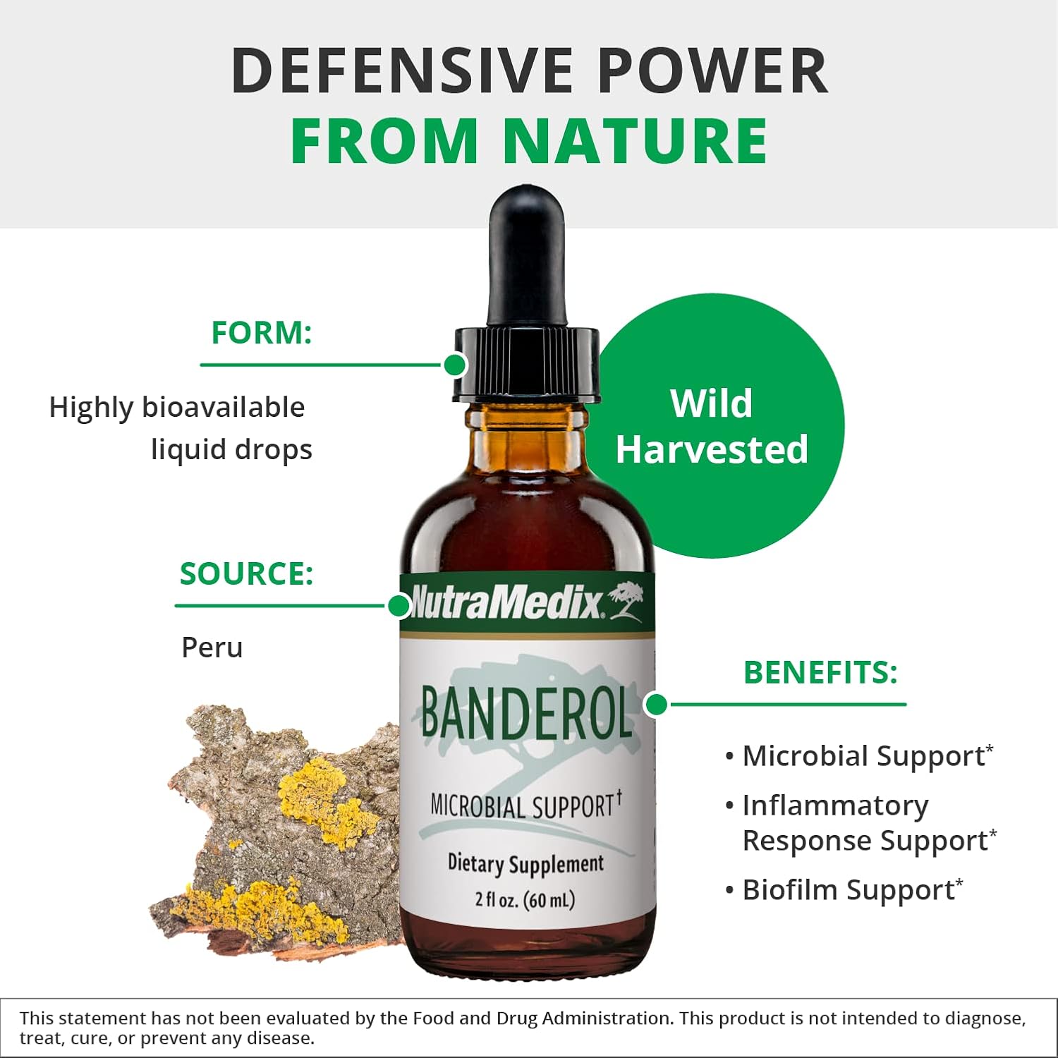 NutraMedix Banderol - Extracto de corteza de Otoba para apoyo inmunológico - Tintura vegana - 60 ml