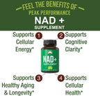 Peak Performance Suplemento de NAD de Alta Pureza en Cápsulas para Mujeres y Hombres