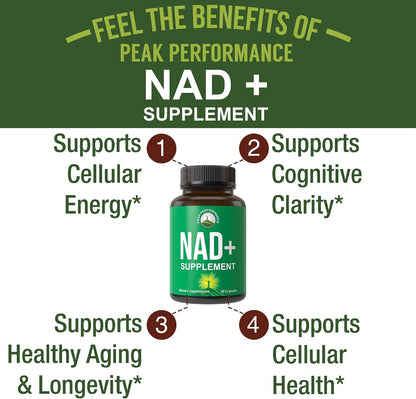 Peak Performance Suplemento de NAD de Alta – La niacina contribuye al funcionamiento normal del sistema nervioso. – Image 2