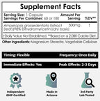 Nootropics Depot Dihidromiricetina (DHM) Cápsulas | Apoyo después de beber y recuperación | Extracto de Té de Vid (Ampelopsis grossedentata) | 60 cápsulas