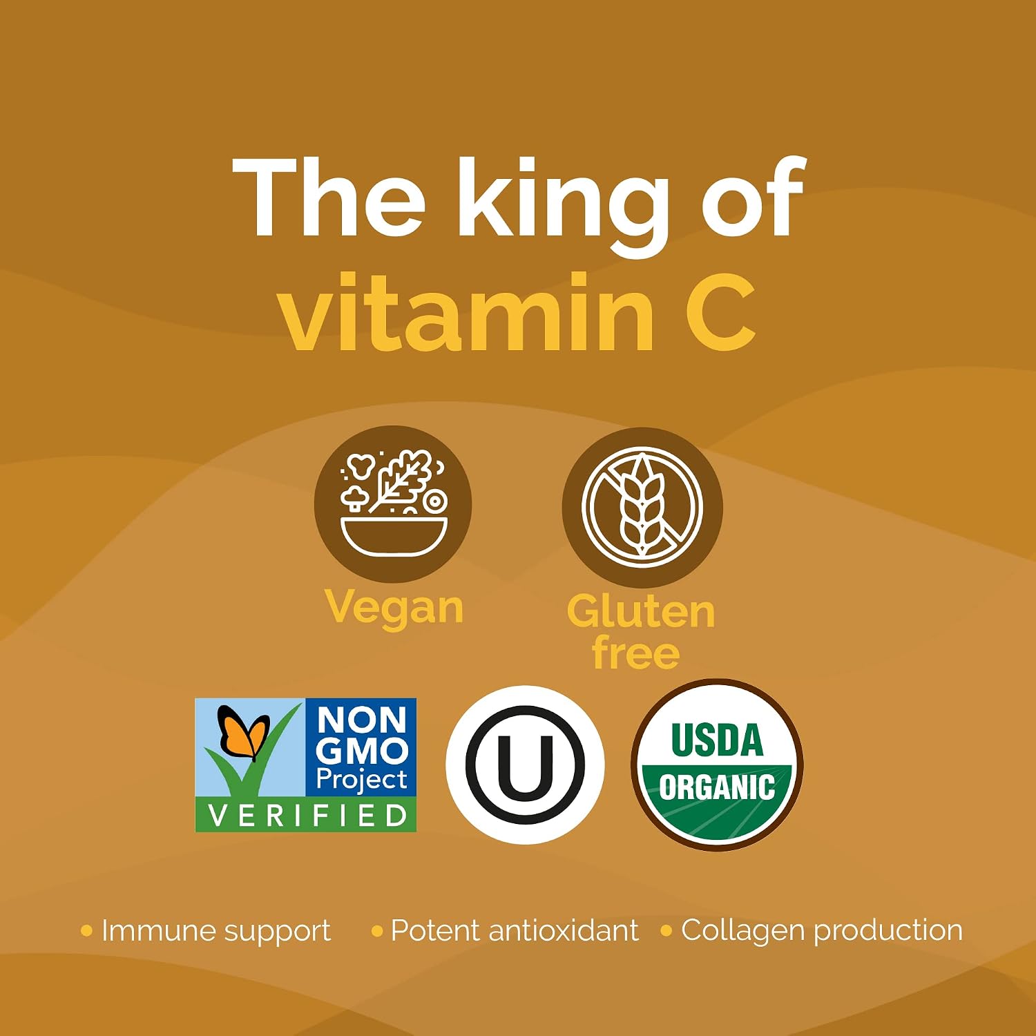 Camu Camu en Polvo: Fuente Natural de Vitamina C Orgánica - Zint (100 g)