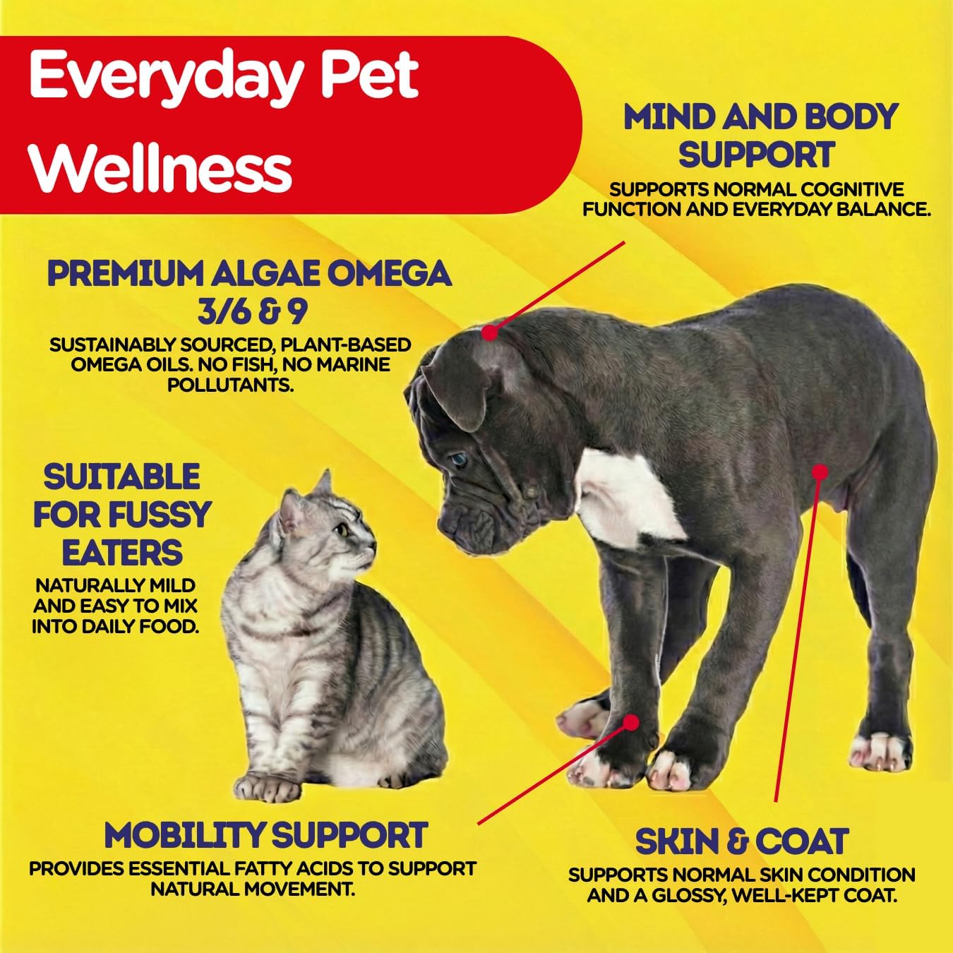 PetJesty Pure Omega 3 Oil - Suplemento Líquido de Omega 3 Vegano para Perros y Gatos (780 ml)