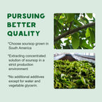 Extracto Líquido de Graviola (Guanábana) 2000mg – Gotas Naturales – 30 ml
