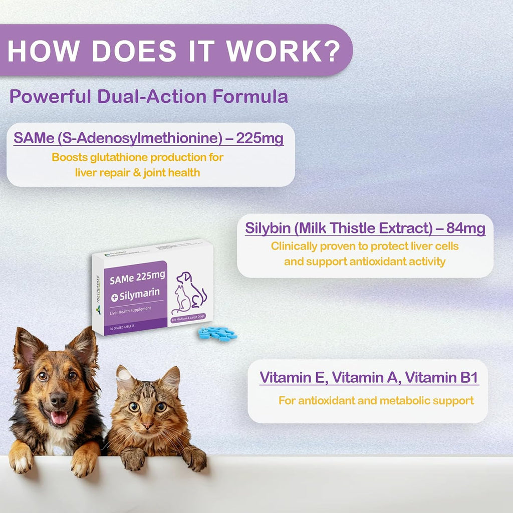 Same for Dogs – Suplemento Hepático Avanzado con Milk Thistle