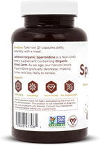 Lekithos Cápsulas de Espermidina Orgánica | Extracto de Germen de Trigo | Renovación Celular | 1050 mg por Dosis | Vegano, Sin OGM | 120 Cápsulas
