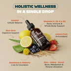 Optimize Vitaminz Líquido Vitamina D3 K2 con Diente de León y Arándano – Apoyo Inmunitario, Huesos e Hígado – Fórmula MK-7 de Rápida Absorción – 30 Días, 60 ml