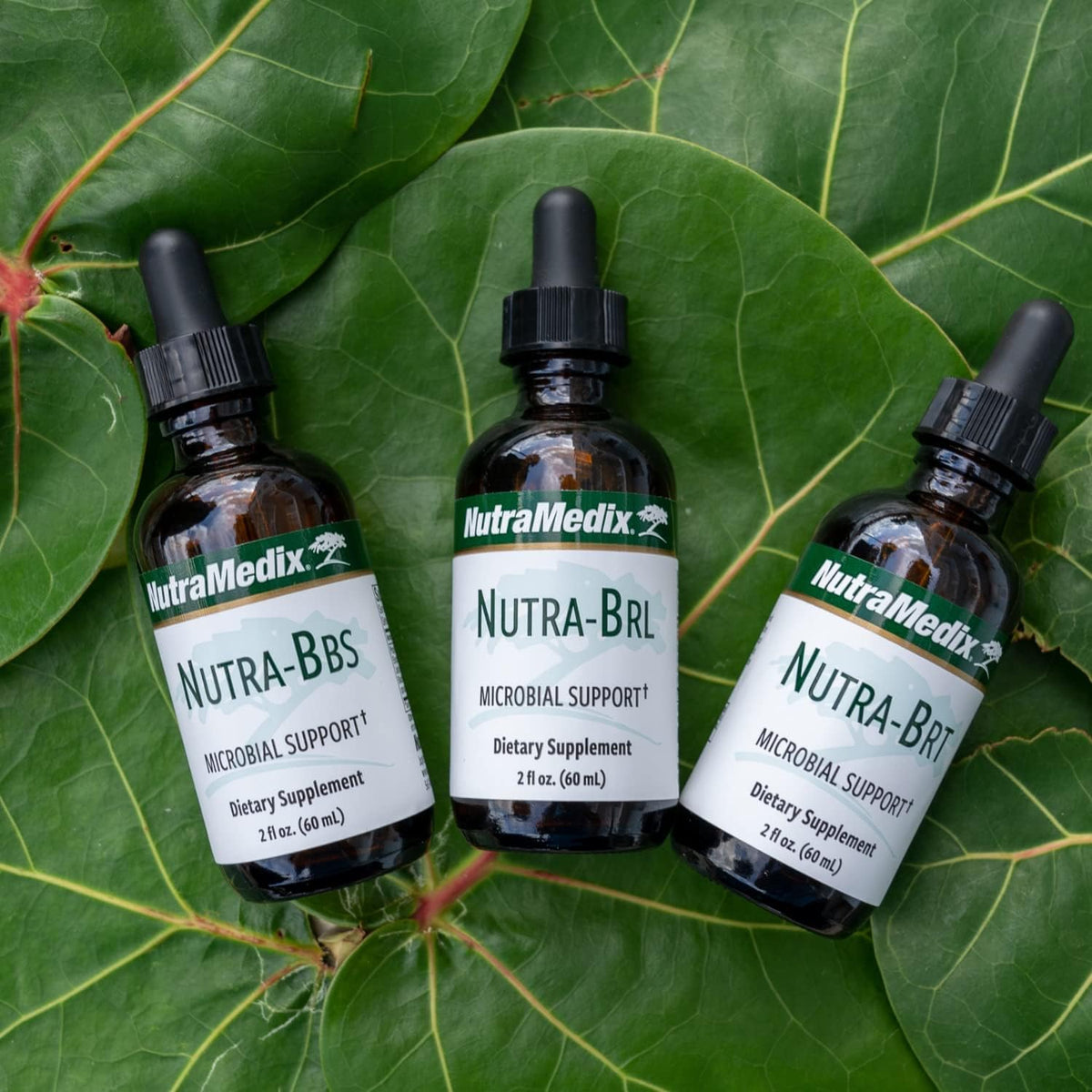 Nutramedix Nutra BRT - Suplemento Herbal Líquido para el Apoyo Inmunológico y Digestivo (60 ml) – Image 8
