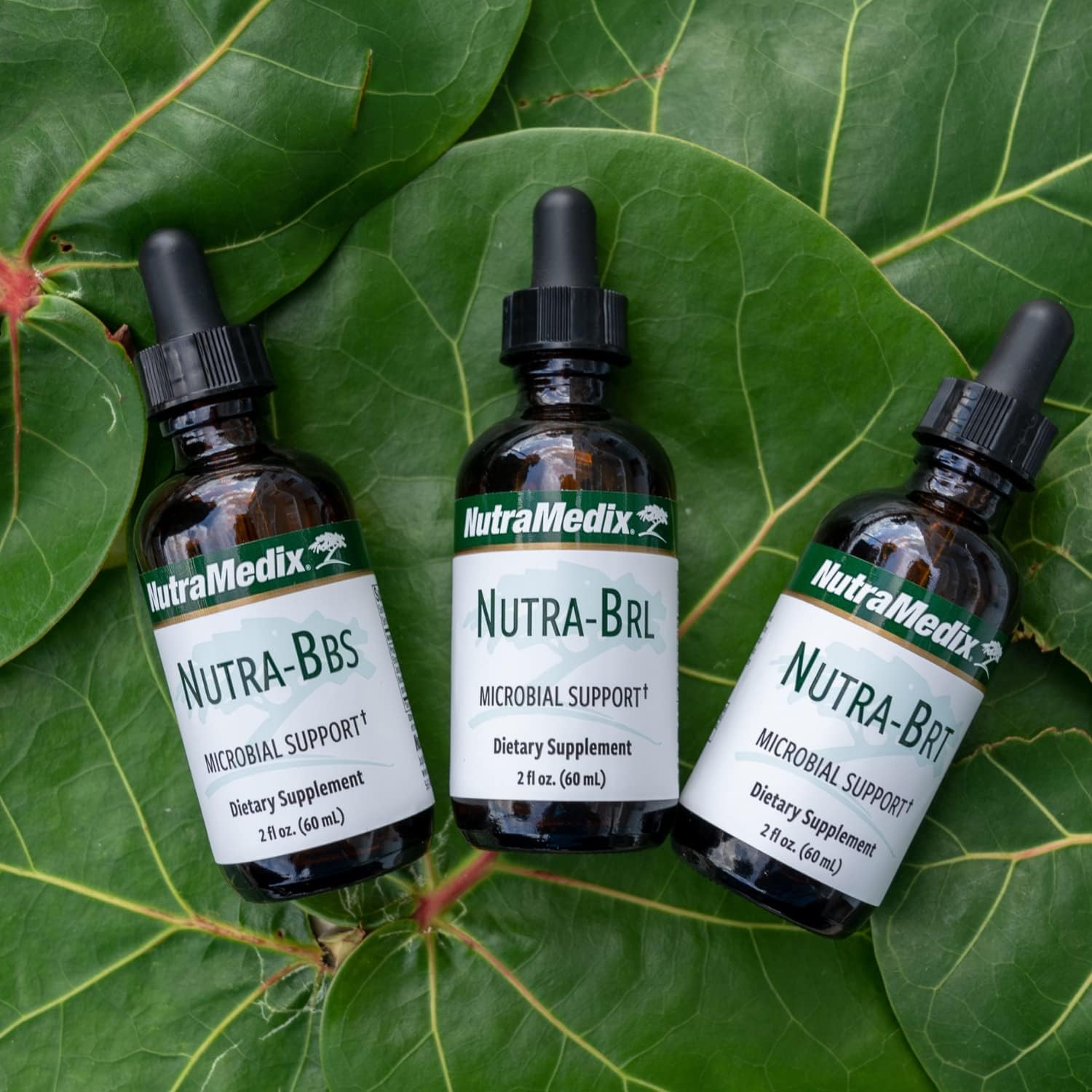 Nutramedix Nutra BRT - Suplemento Herbal Líquido para el Apoyo Inmunológico y Digestivo (60 ml)