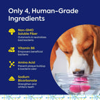 Protektin42 Recambio de Polvo Dental Prebiótico para Perros - 180 dosis (6 sobres)
