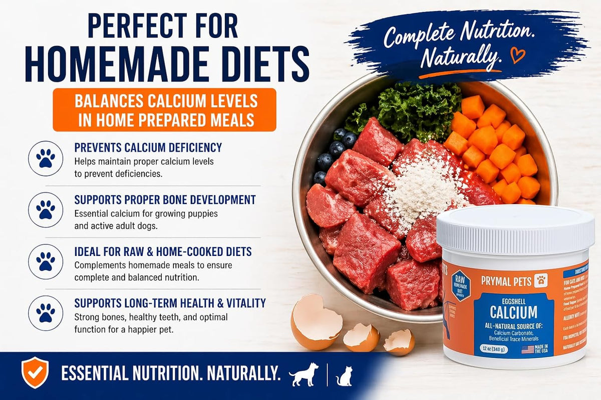 Eggshell Calcium for Pets - 12 oz. Polvo de – Huesos, dientes y articulaciones fuertes: El calcio contribuye al – Image 5