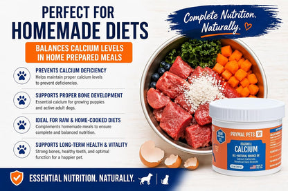 Eggshell Calcium for Pets - 12 oz. Polvo de – Huesos, dientes y articulaciones fuertes: El calcio contribuye al – Image 5