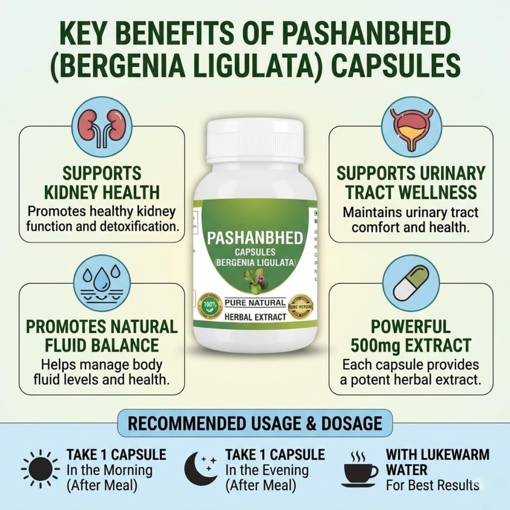 Pashanabheda (Bergenia ligulata) en Cápsulas - Suplemento Ayurvédico 100% Puro, 500 mg, 240 Cápsulas Vegetales