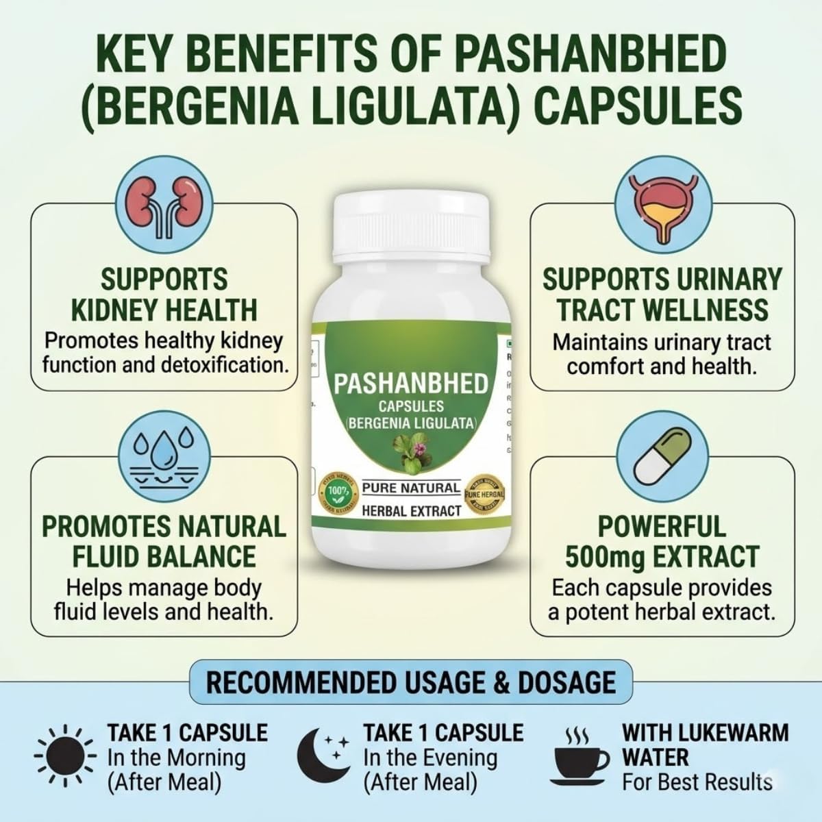 Pashanbhed (Bergenia ligulata) Cápsulas de Polvo | Suplemento Ayurvédico | 100% Extracto Puro | Vegetariano y Vegano | 500 mg por Dosis | 60 Cápsulas Vegetales