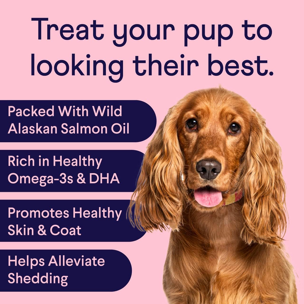 Finn Masticables de Aceite de Salmón para Perros – Piel y Pelaje – Omega-3 EPA y DHA – 90 unidades – Biotina, Zinc y Vitaminas B – Salmón Salvaje de Alaska – Certificado NASC – Formulado por Veterinarios