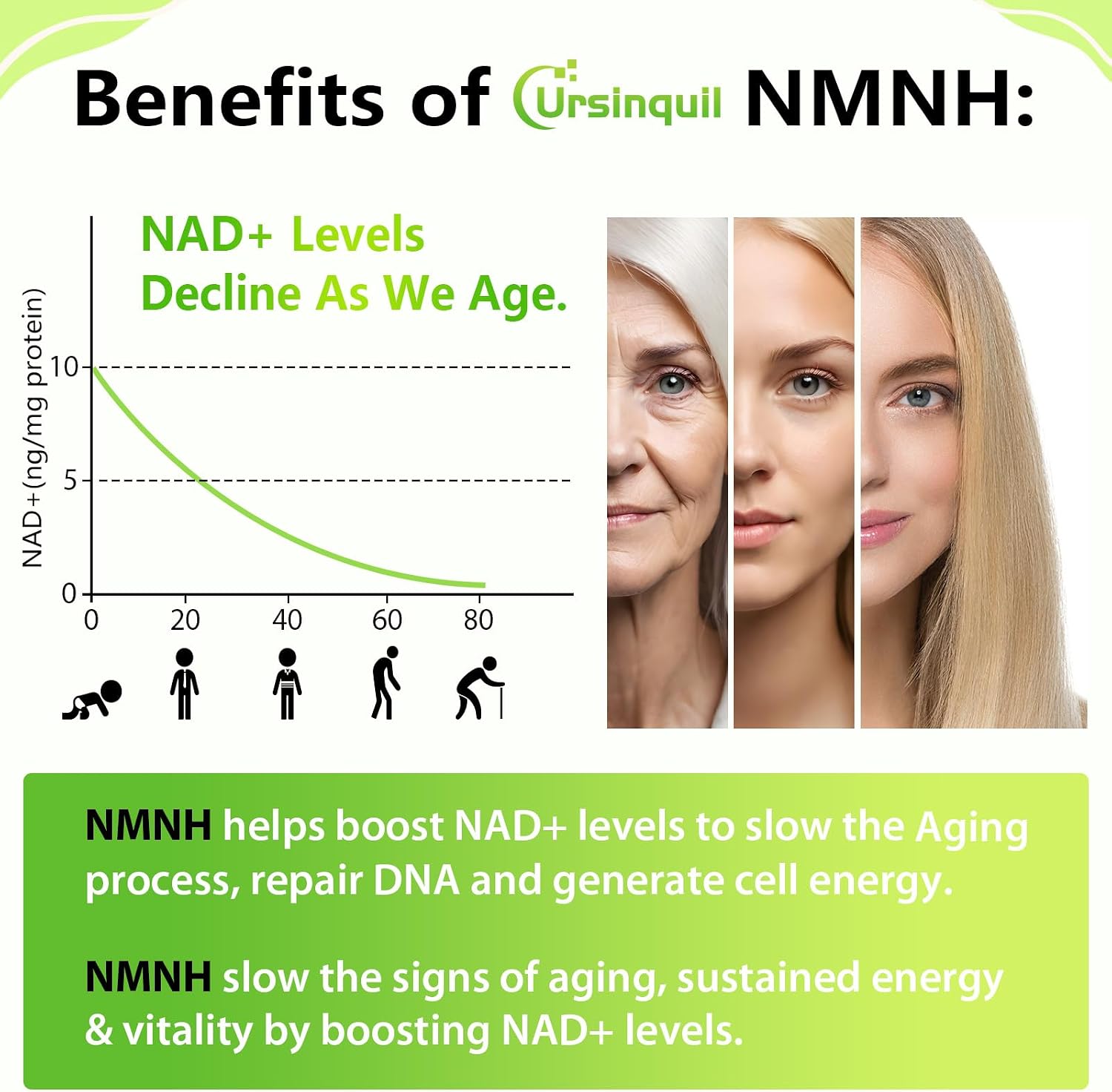 Sublingual NMNH 500mg - 120 Comprimidos - Suplemento de Dihidronicotinamida Mononucleótido