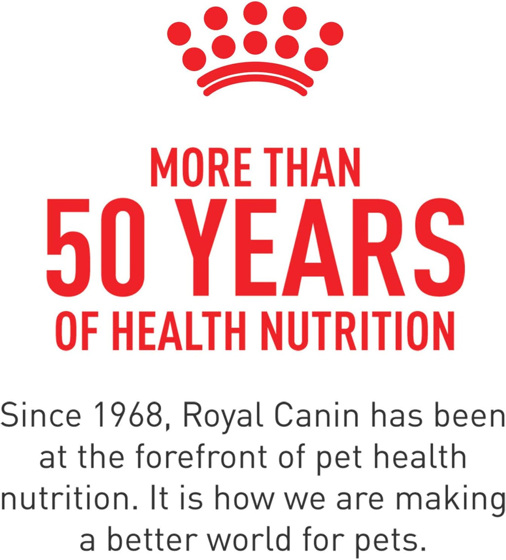 Royal Canin Probióticos para Perros, Salud Digestiva e Inmunitaria, Suplemento en Polvo para Perros de Todas las Edades, 7 Sobres