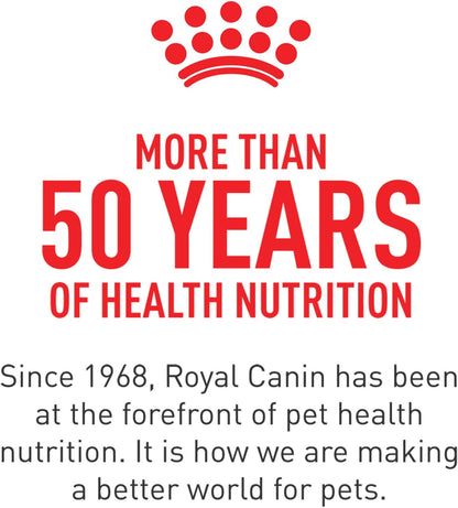 Royal Canin Probiotics for Dogs Digestive – Apoyo a la salud digestiva: Favorece la resiliencia de la microbiota, – Image 10