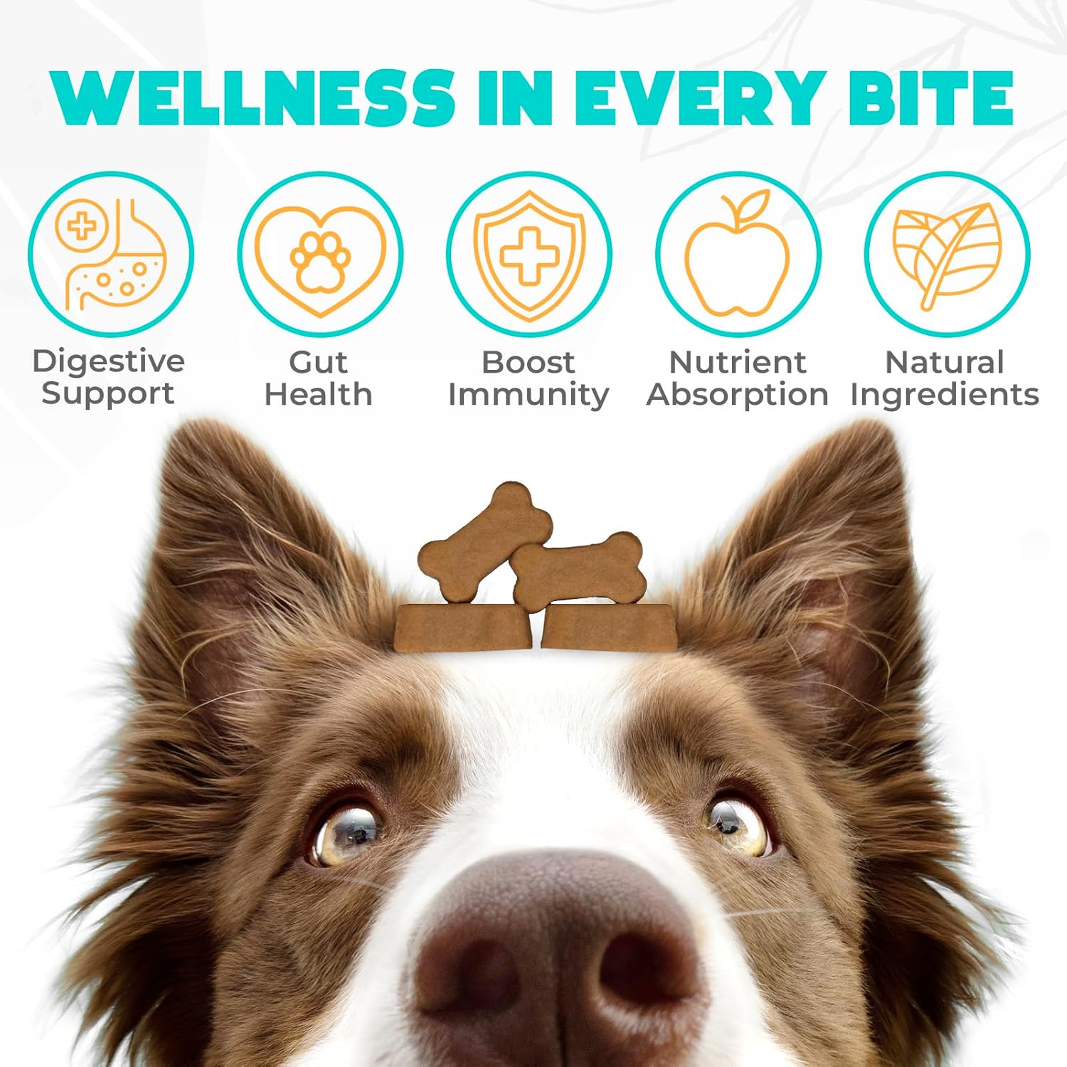 Probióticos para Perros Masticables 150 uds. - Apoyo Digestivo y Salud Intestinal - Fórmula Aprobada por Veterinarios - Sabor Ternera